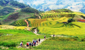 Tour Sapa - Lào Cai 3N2Đ Khởi Hành Từ Thành Phố Hồ Chí Minh