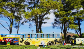 Tour Du lịch Đăk Lak - Kontum - Măng Đen - Gia Lai 4 ngày 3 đêm